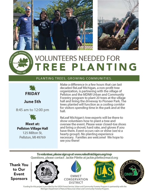 Tree Planting